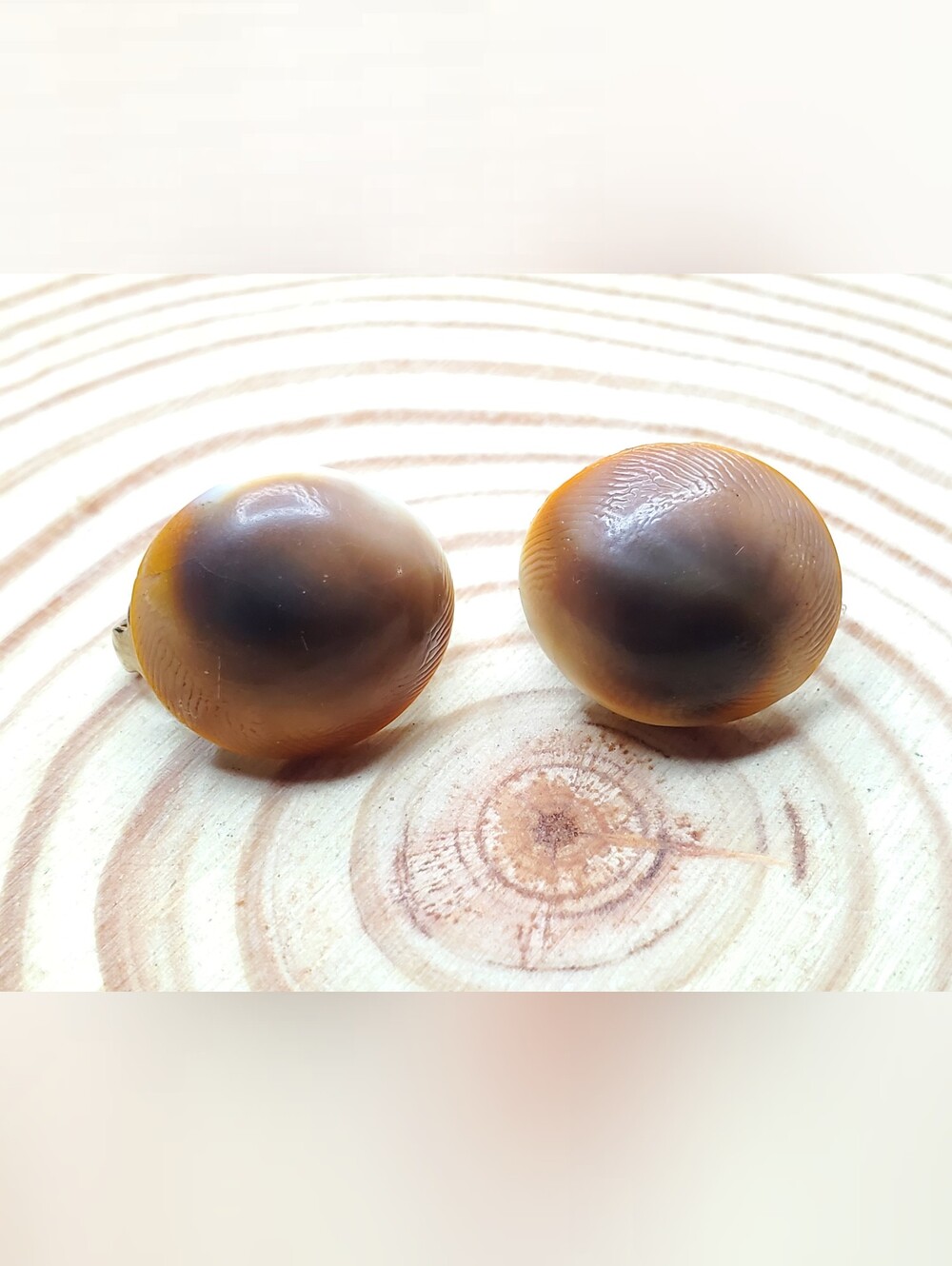 Vtg. Shiva Eye Operculum Shell Clip-on Earrings